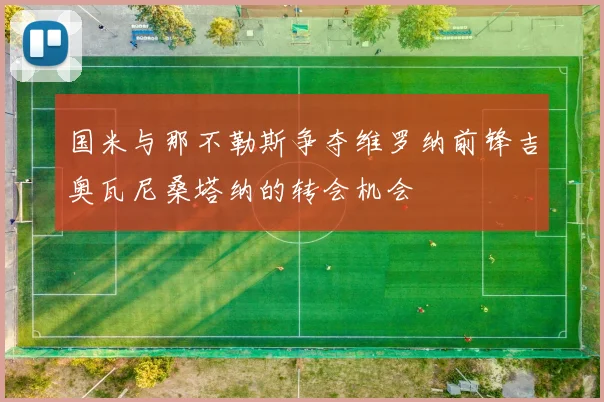 国米与那不勒斯争夺维罗纳前锋吉奥瓦尼桑塔纳的转会机会